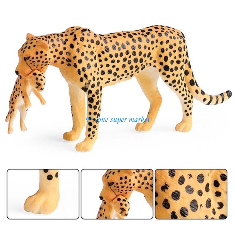 090B Realistic Cheetah Model f - Science Exhibition Models ulasan dan harga