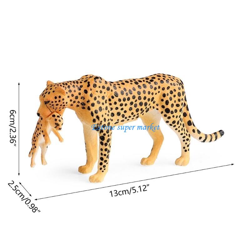 090B Realistic Cheetah Model f - Science Exhibition Models ulasan dan harga